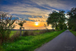 Abendsonne am Radweg Neuplachter Weg