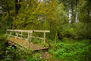 Alte Holzbruecke am Templiner Kanal