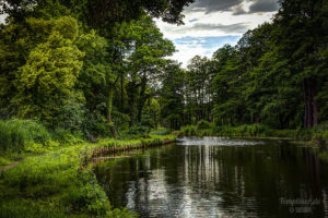 Natur am Templiner Kanal