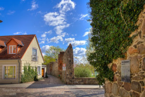 Stadtmauer Durchbruch Puschkinstraße Efeu